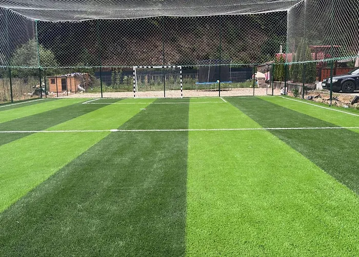 Pensiunea Casa David Şugag